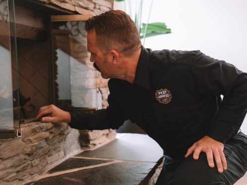 Pest Arrest technician inspecting home